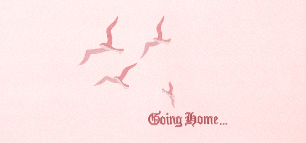P 566 PK PK Going Home NEW Birds Pink on Pink Faux